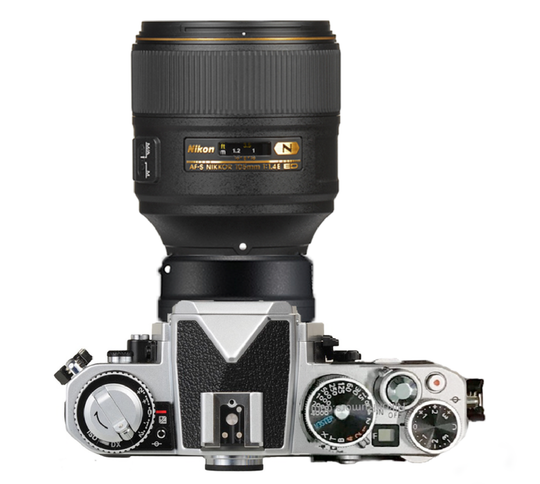 nikonrumors mirrorless