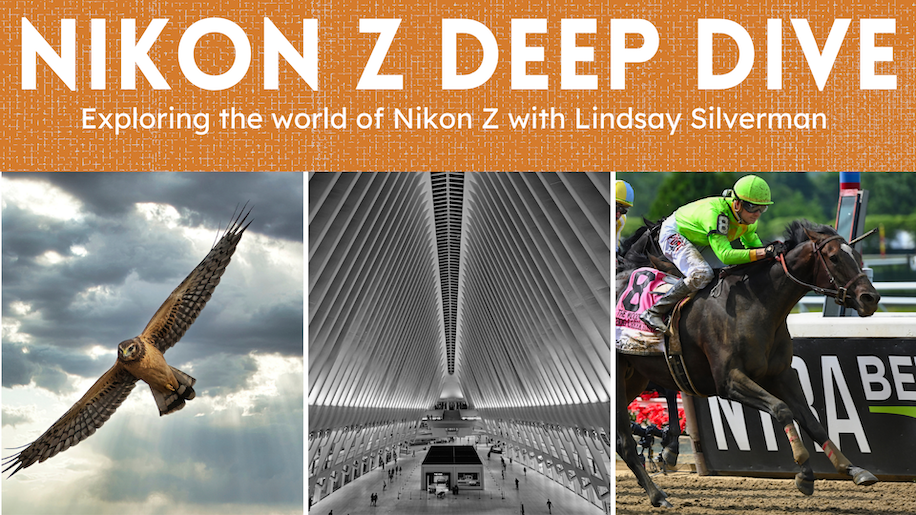 Nikon Z9 additional coverage - Nikon Rumors