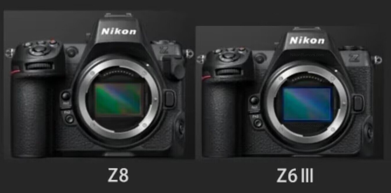 Increasingly rampant rumors suggest a Nikon Z6 III might be imminent