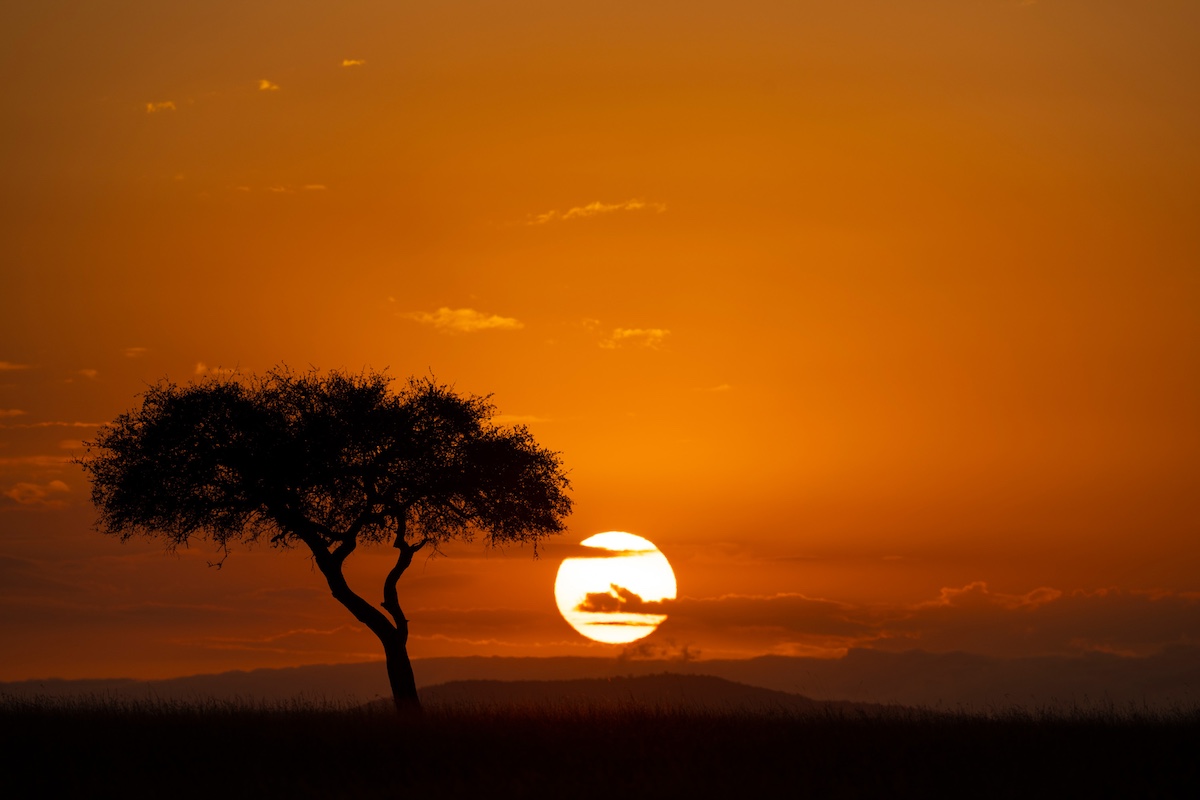 Lessons from Africa - Nikon Rumors
