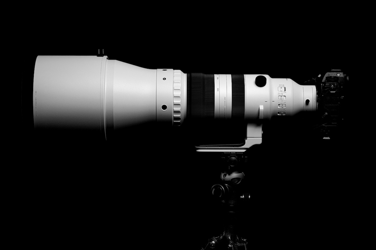 Sigma 300-600mm f/4 DG OS Sports lens for Sony E-mount tested on the Nikon Z9 camera