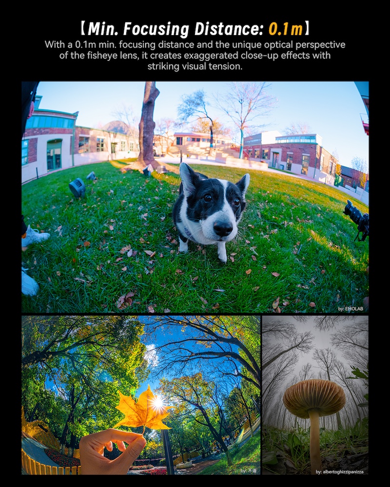 7Artisans 6mm f/2 Fisheye – Extremweitwinkel-Objektiv für Fuji X APS-C